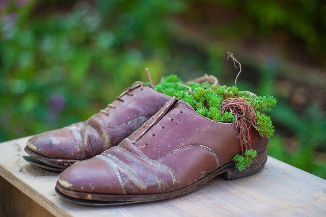 Chaussures fleuries par Flickr - tangi_bertin