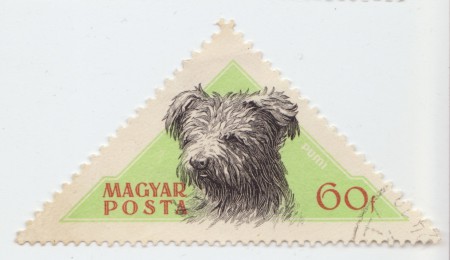 Magyar_Posta-Dog
