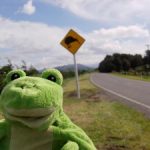 tour-monde-froggy-nz