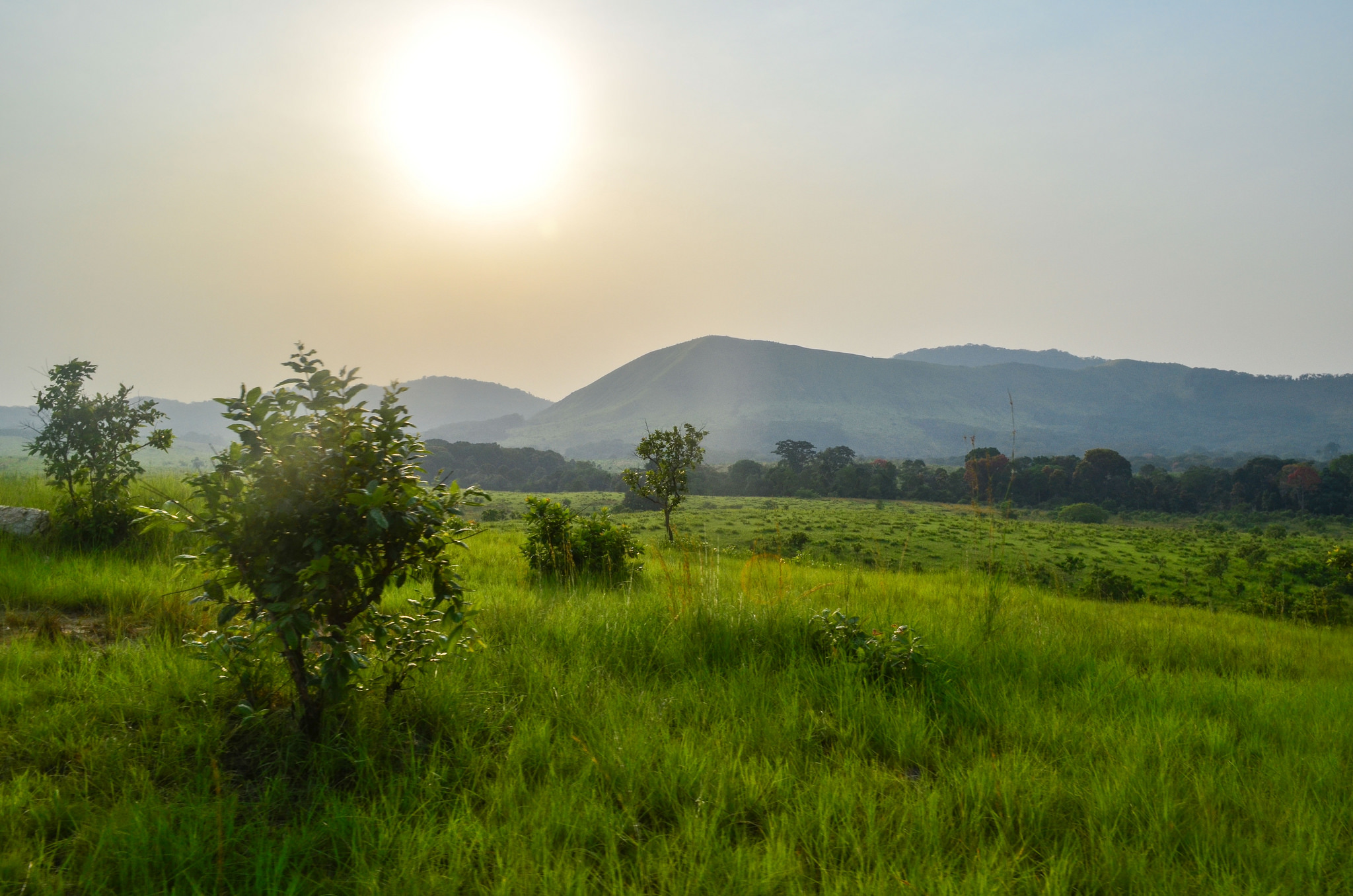 Paysage de la réserve de la Lopé au Gabon