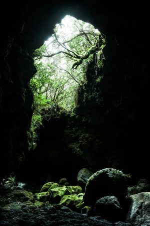 Below the jungle (Sous la jungle) paysage artistique