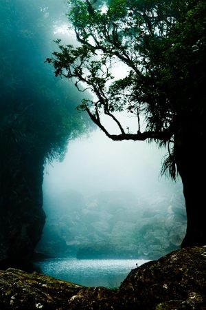 The call of the fairies (L'appel des fées) photo artistique